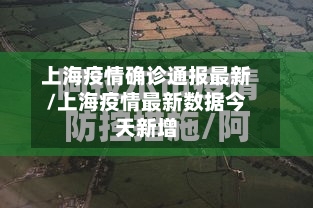 上海疫情确诊通报最新/上海疫情最新数据今天新增
