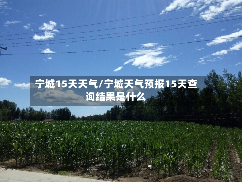 宁城15天天气/宁城天气预报15天查询结果是什么