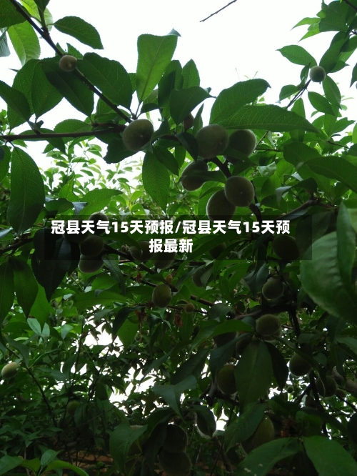 冠县天气15天预报/冠县天气15天预报最新