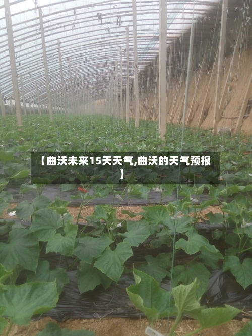 【曲沃未来15天天气,曲沃的天气预报】