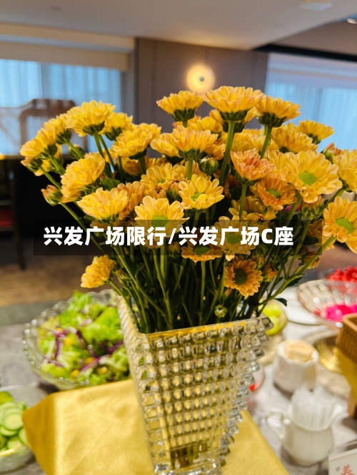兴发广场限行/兴发广场C座