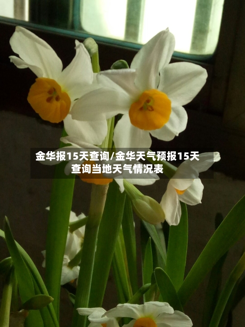金华报15天查询/金华天气预报15天查询当地天气情况表