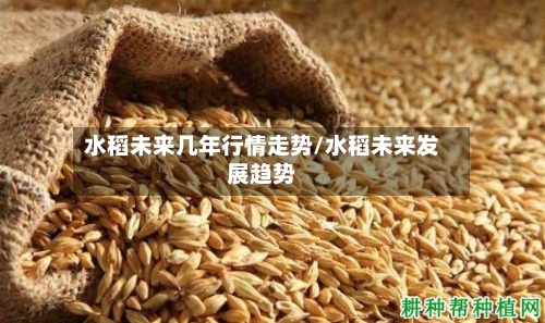 水稻未来几年行情走势/水稻未来发展趋势