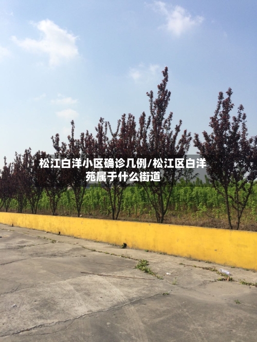 松江白洋小区确诊几例/松江区白洋苑属于什么街道