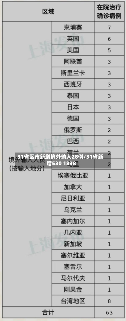 31省区市新增境外输入28例/31省新增530 1838