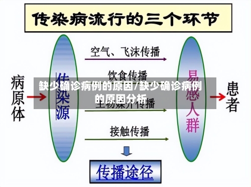 缺少确诊病例的原因/缺少确诊病例的原因分析