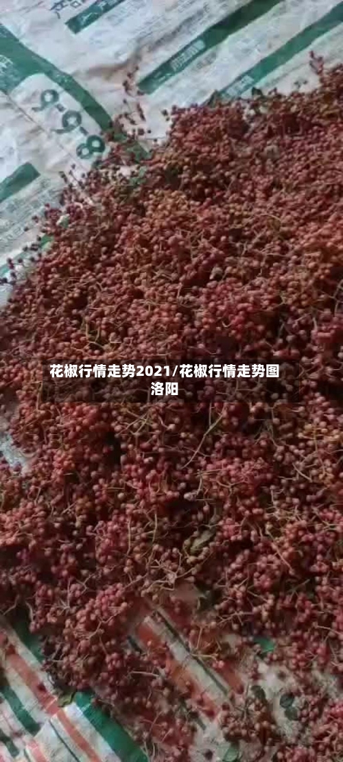 花椒行情走势2021/花椒行情走势图洛阳