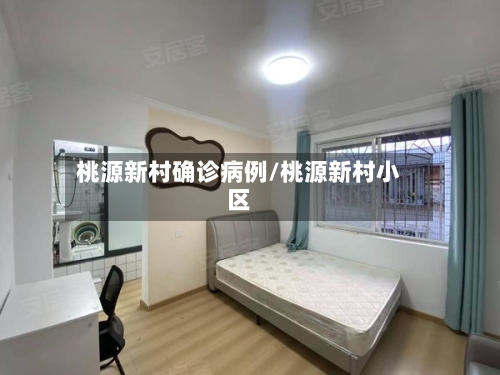 桃源新村确诊病例/桃源新村小区