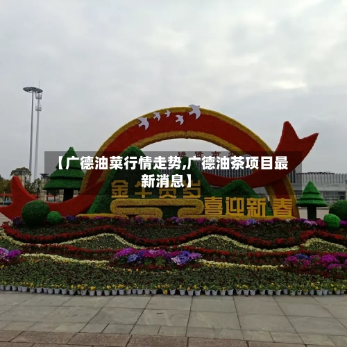 【广德油菜行情走势,广德油茶项目最新消息】