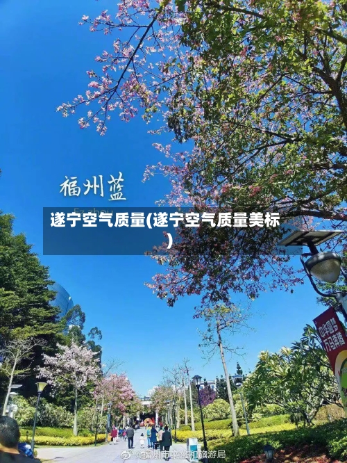 遂宁空气质量(遂宁空气质量美标)