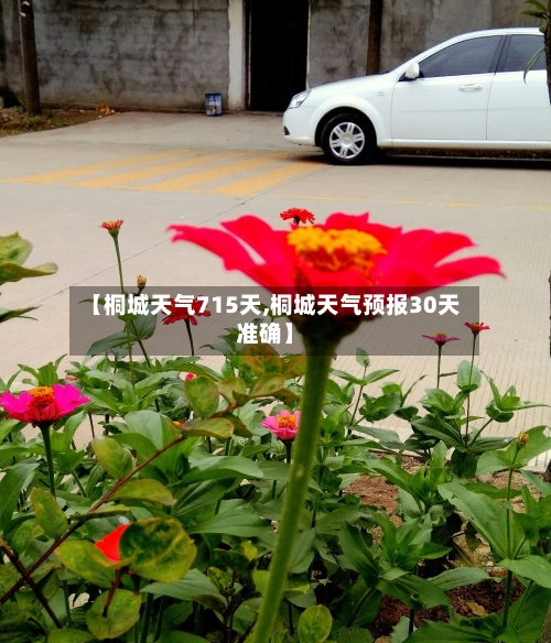 【桐城天气715天,桐城天气预报30天准确】