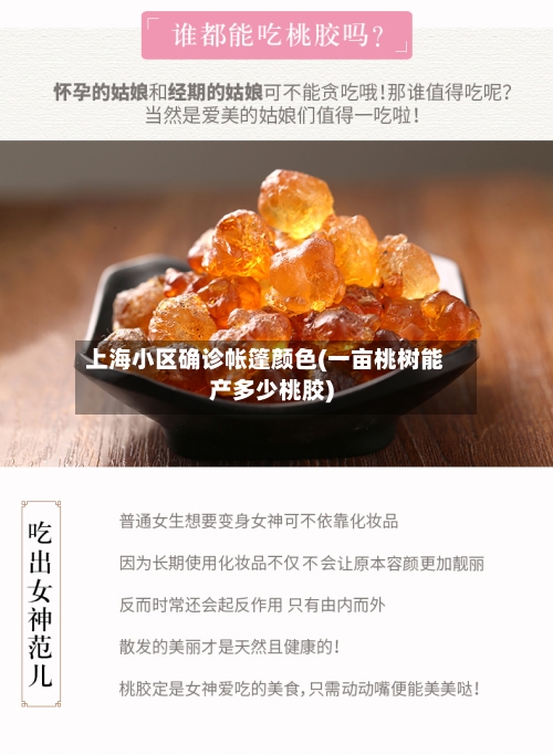 上海小区确诊帐篷颜色(一亩桃树能产多少桃胶)
