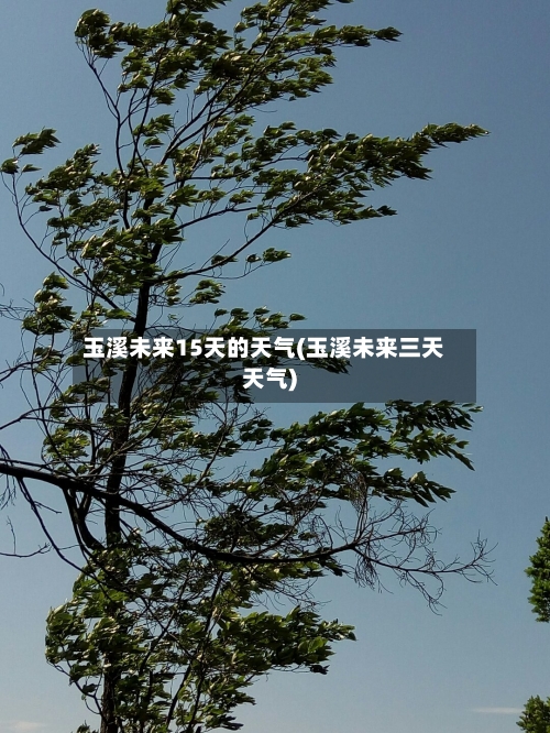 玉溪未来15天的天气(玉溪未来三天天气)