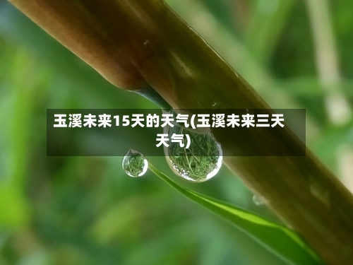 玉溪未来15天的天气(玉溪未来三天天气)
