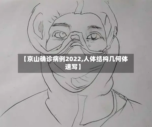 【京山确诊病例2022,人体结构几何体速写】