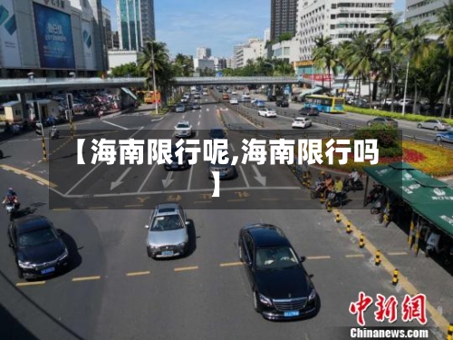 【海南限行呢,海南限行吗】