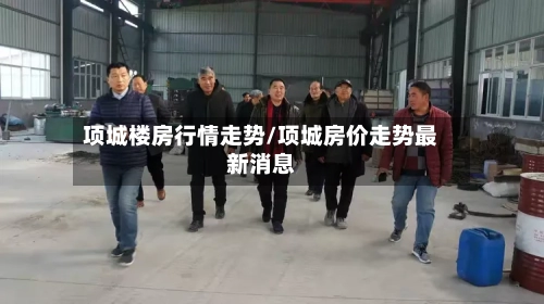 项城楼房行情走势/项城房价走势最新消息