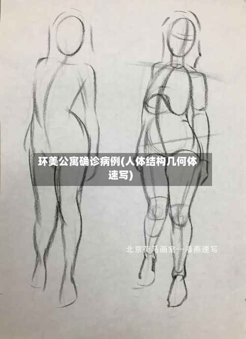 环美公寓确诊病例(人体结构几何体速写)