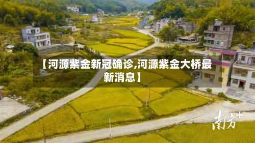 【河源紫金新冠确诊,河源紫金大桥最新消息】