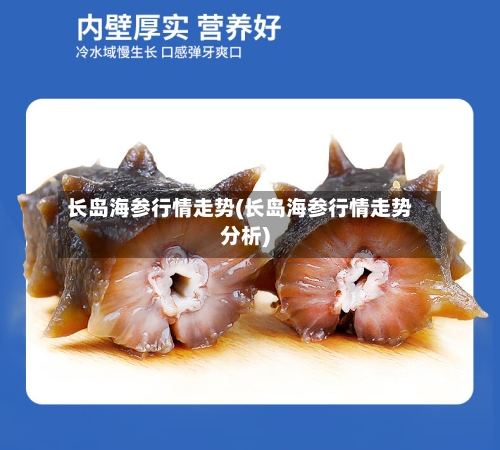 长岛海参行情走势(长岛海参行情走势分析)