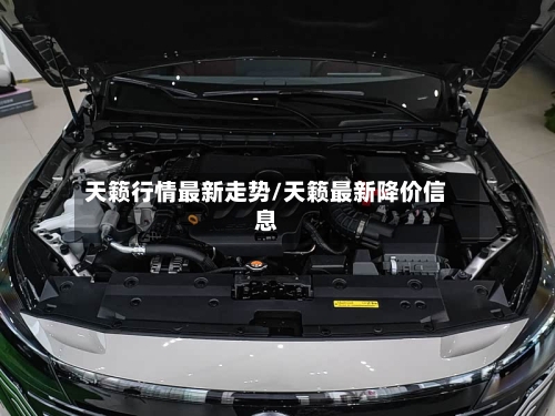天籁行情最新走势/天籁最新降价信息