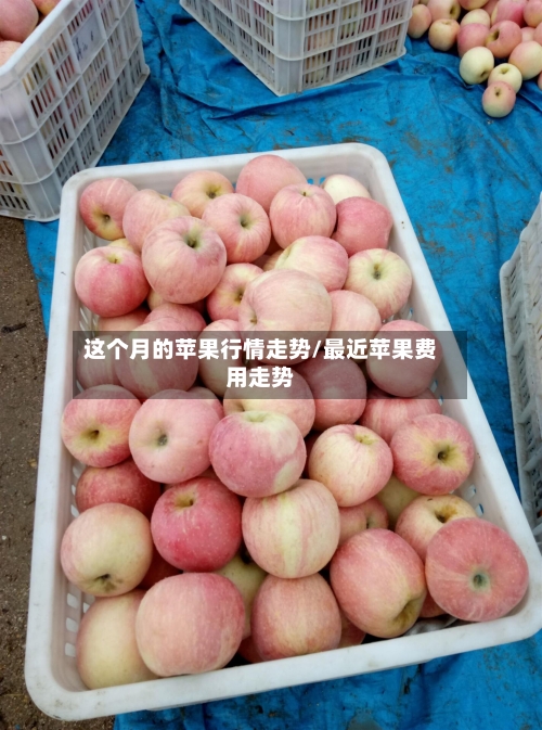 这个月的苹果行情走势/最近苹果费用走势