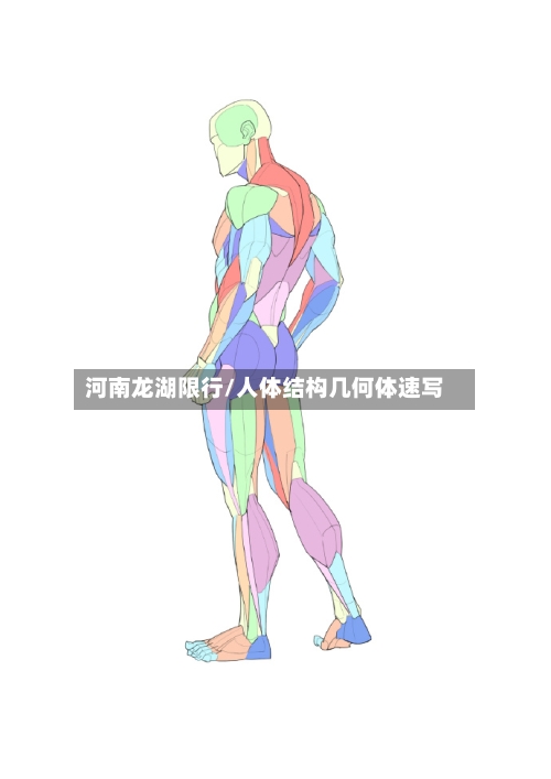 河南龙湖限行/人体结构几何体速写
