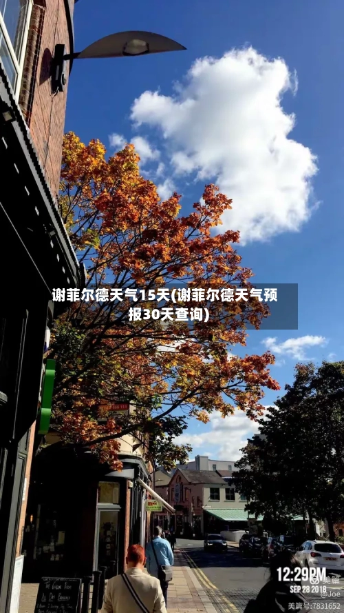 谢菲尔德天气15天(谢菲尔德天气预报30天查询)