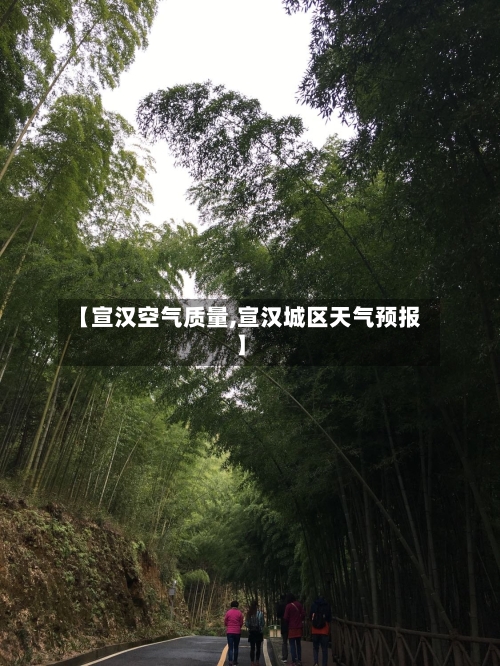 【宣汉空气质量,宣汉城区天气预报】