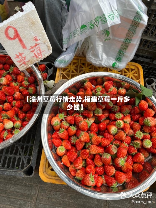 【漳州草莓行情走势,福建草莓一斤多少钱】