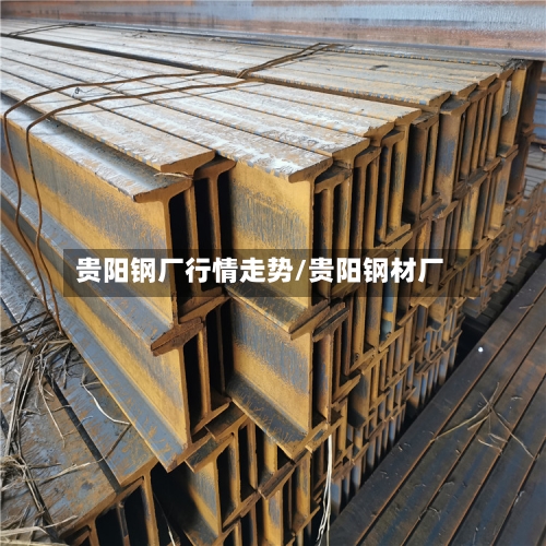 贵阳钢厂行情走势/贵阳钢材厂