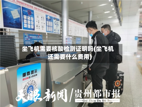 坐飞机需要核酸检测证明吗(坐飞机还需要什么费用)
