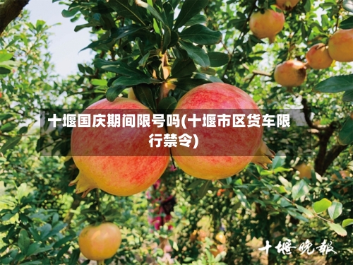 十堰国庆期间限号吗(十堰市区货车限行禁令)