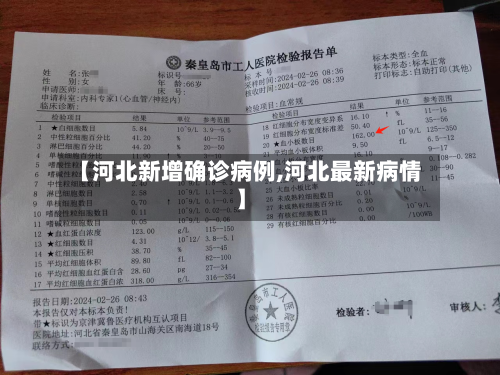 【河北新增确诊病例,河北最新病情】