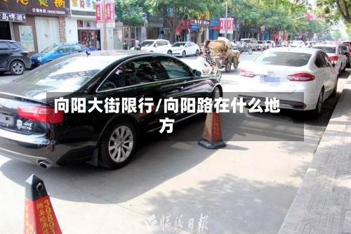 向阳大街限行/向阳路在什么地方