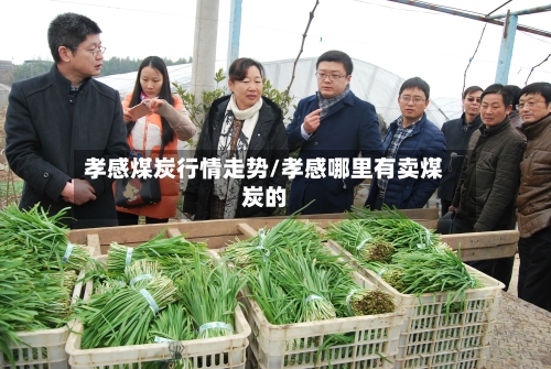 孝感煤炭行情走势/孝感哪里有卖煤炭的