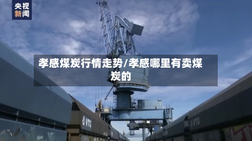 孝感煤炭行情走势/孝感哪里有卖煤炭的