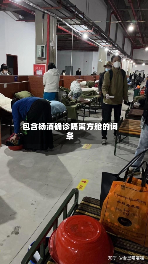 包含杨浦确诊隔离方舱的词条