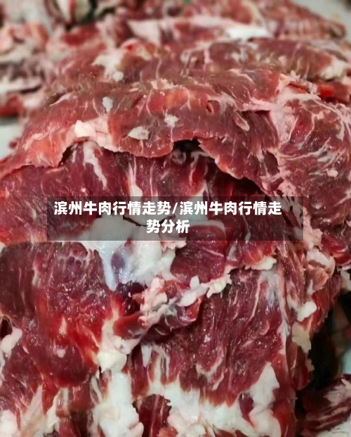 滨州牛肉行情走势/滨州牛肉行情走势分析