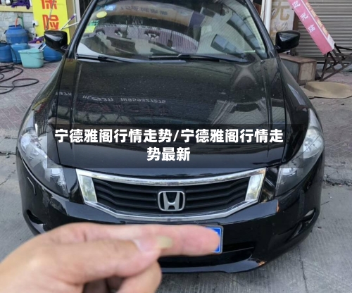 宁德雅阁行情走势/宁德雅阁行情走势最新