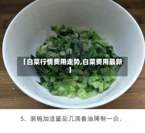 【白菜行情费用走势,白菜费用最新】