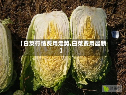 【白菜行情费用走势,白菜费用最新】