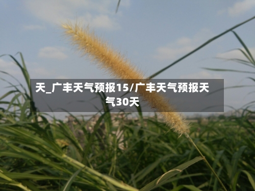 天_广丰天气预报15/广丰天气预报天气30天