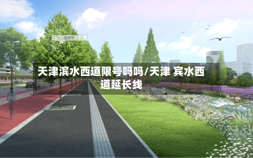 天津滨水西道限号吗吗/天津 宾水西道延长线
