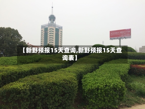 【新野预报15天查询,新野预报15天查询表】