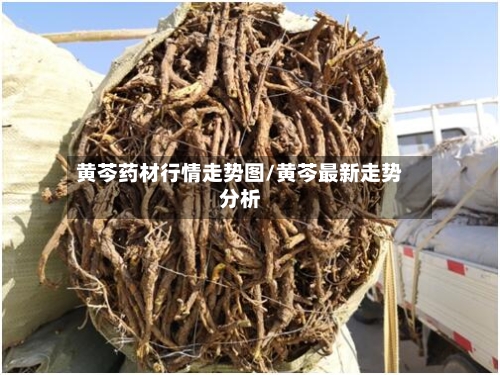 黄芩药材行情走势图/黄芩最新走势分析