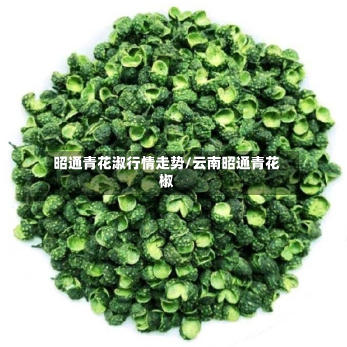 昭通青花淑行情走势/云南昭通青花椒