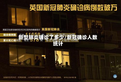 新型肺炎确诊了多少/新冠确诊人数统计