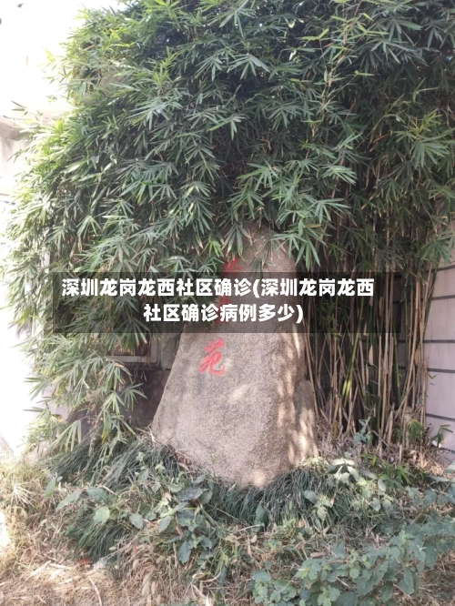 深圳龙岗龙西社区确诊(深圳龙岗龙西社区确诊病例多少)
