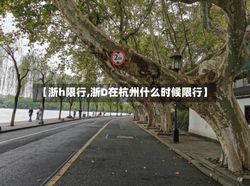 【浙h限行,浙D在杭州什么时候限行】